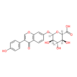 Daidzein 7-O-glucuronide