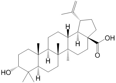Epibetulinic acid