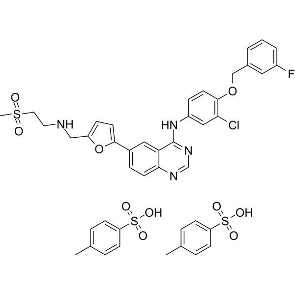 Lapatinib (GW-572016) Ditosylate