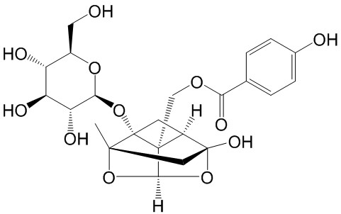 Oxypaeoniflorin