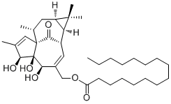 Ingenol 20-palmitate