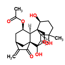Taibaihenryiins A
