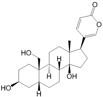 19-Hydroxybufalin