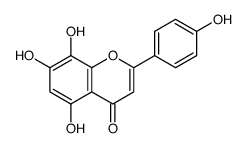 Isoscutellarein