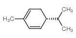 (R)-(-)-alpha-Phellandrene