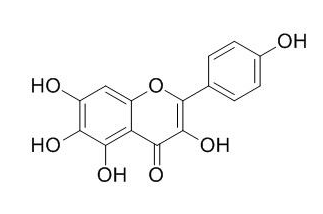 6-Hydroxykaempferol