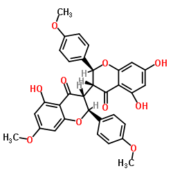 Ruixianglangdusu B