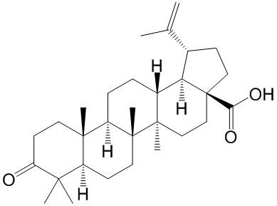 Betulonic acid