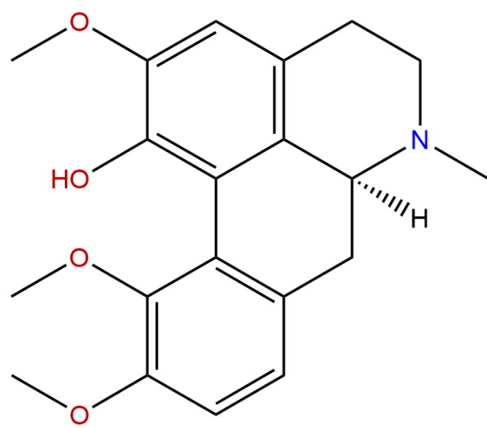 Corydine
