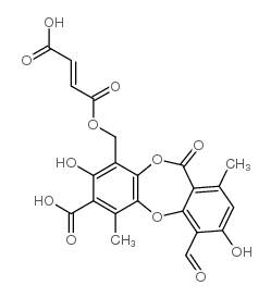 Fumarprotocetraric acid