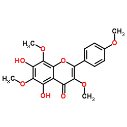 Araneosol