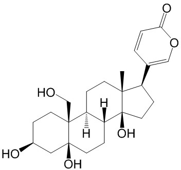 Hellebrigenol