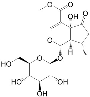 Hastatoside