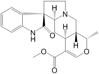Mitraphylline