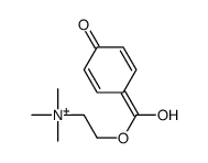 4-Hydroxybenzoyl choline
