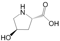 L-Hydroxyproline
