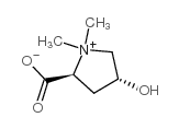 Betonicine