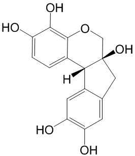 Hematoxylin