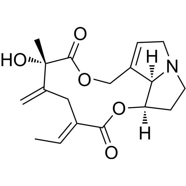 Spartioidine