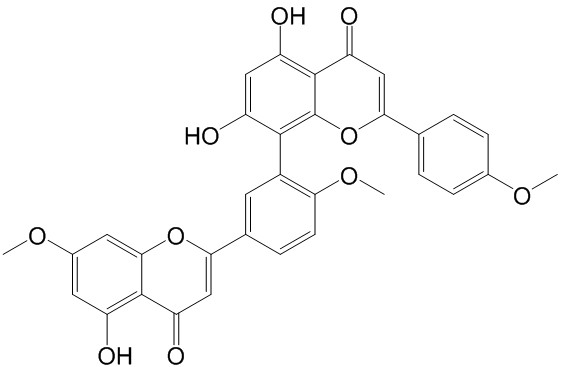 Sciadopitysin