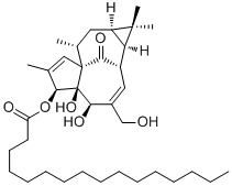 Ingenol 3-palmitate