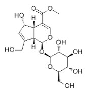 Deacetylasperulosidic acid methyl ester