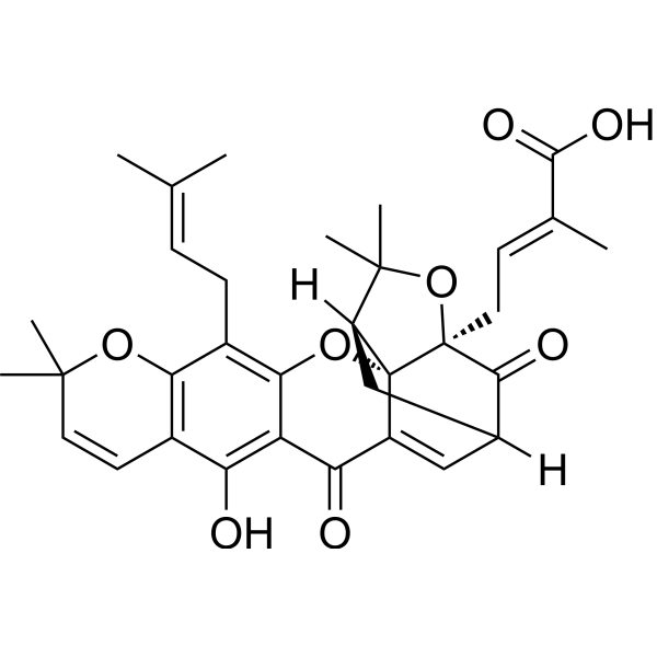 Isomorellic acid