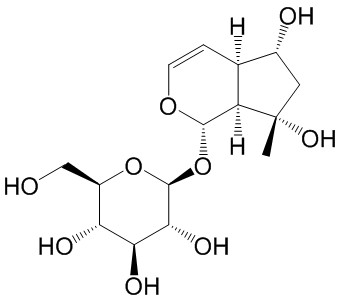 Ajugol