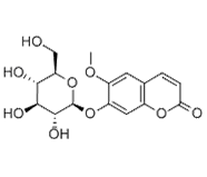 Scopolin