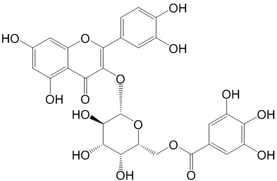 Quercetin 3-O-(6''-galloyl)-beta-D-galactopyranoside