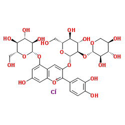 Cyanidin-3-O-sambubioside-5-O-glucoside chloride