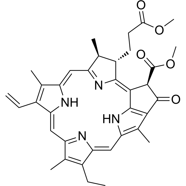 Methylpheophorbide A