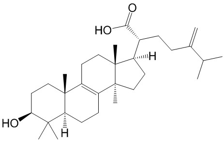 Eburicoic acid