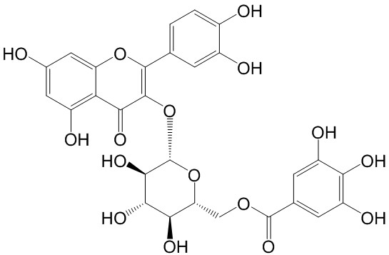 Quercetin 3-O-(6''-galloyl)-beta-D-glucopyranoside
