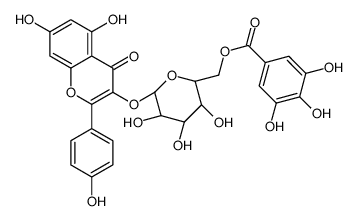 Kaempferol 3-O-(6''-galloyl)-beta-D-glucopyranoside