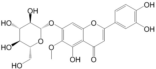Nepetin-7-glucoside