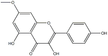 Rhamnocitrin