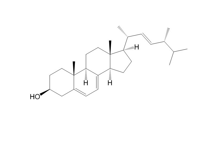 Ergosterol