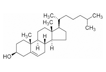 Cholesterol