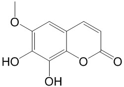 Fraxetin