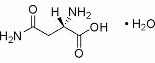 L-Asparagine monohydrate