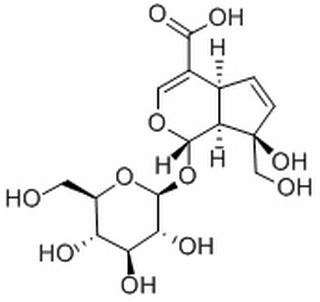 Monotropein