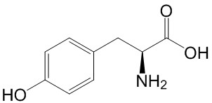 L-Tyrosine