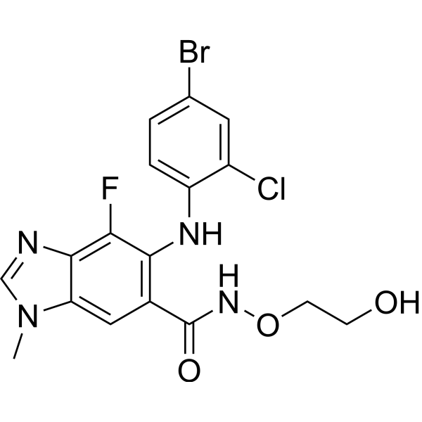 Selumetinib (AZD6244)