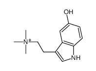 Cinobufotenine