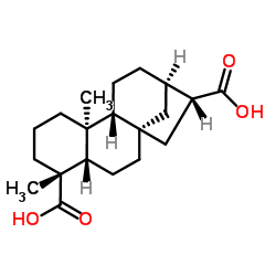 ent-Kauran-17,19-dioic acid