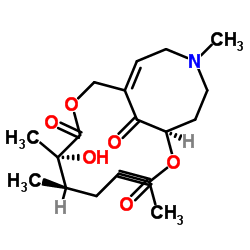 Crotaverrine