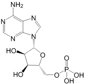 5'-Adenylic acid