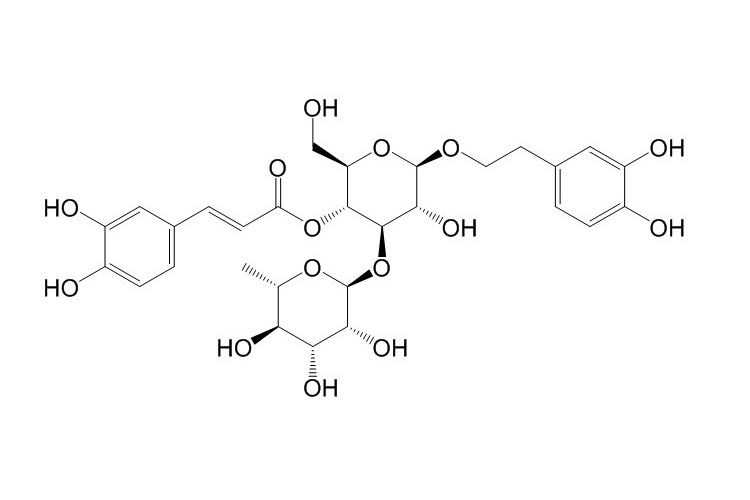 Acteoside