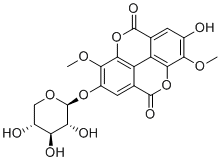 3-O-Methylducheside A